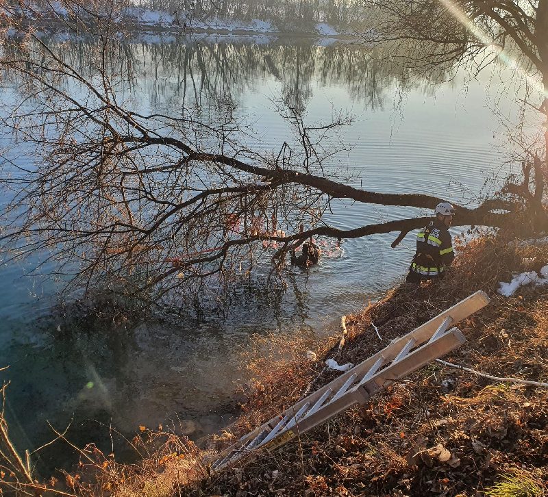 Bergung Drau (Bild 3)